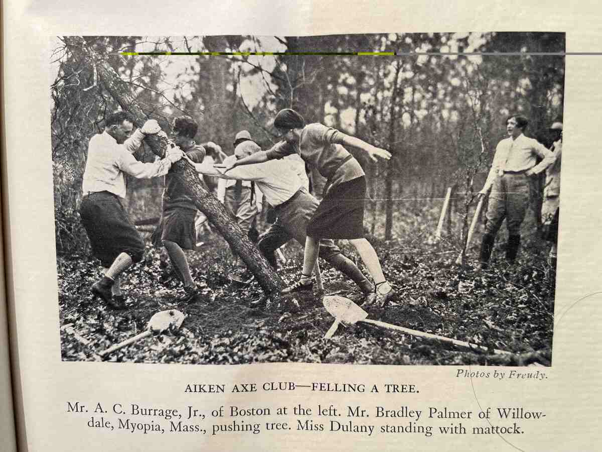 Newspaper image of men felling tree.